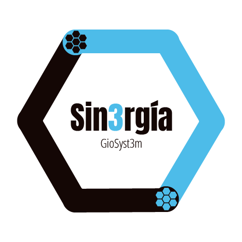 valor-sinergia-giosyst3m